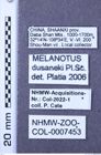 Etiketten zu Melanotus dusaneki (NHMW-ZOO-COL-0007453)